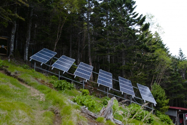 アーセナル 太陽光発電所 雑草を長期間抑える除草剤 - www